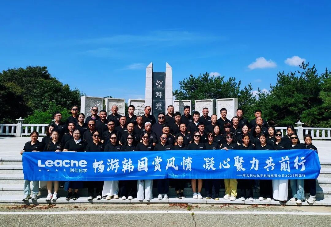 跨越山海，文化同心 | 海外團建書寫高質量發展新注腳