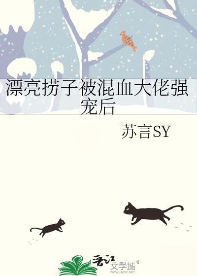 清穿之盛世之宠