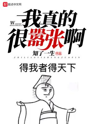 在大明的那些年