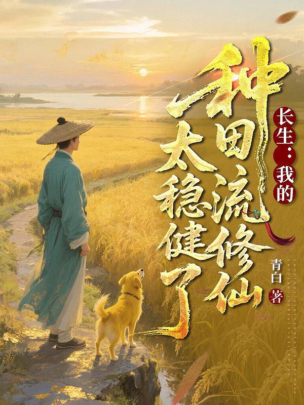 红楼之假裙钗石头记