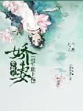 快穿宿主她木得感情