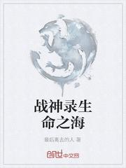 网游乱世之天道