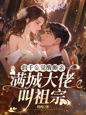 姐夫帮你打天下