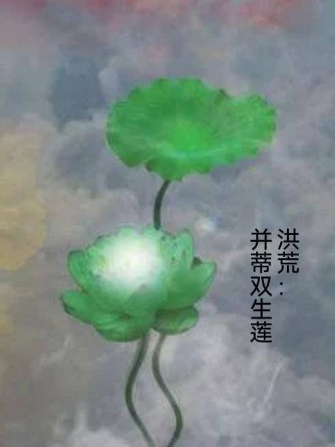 欲望乡村