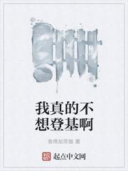 沈安西游