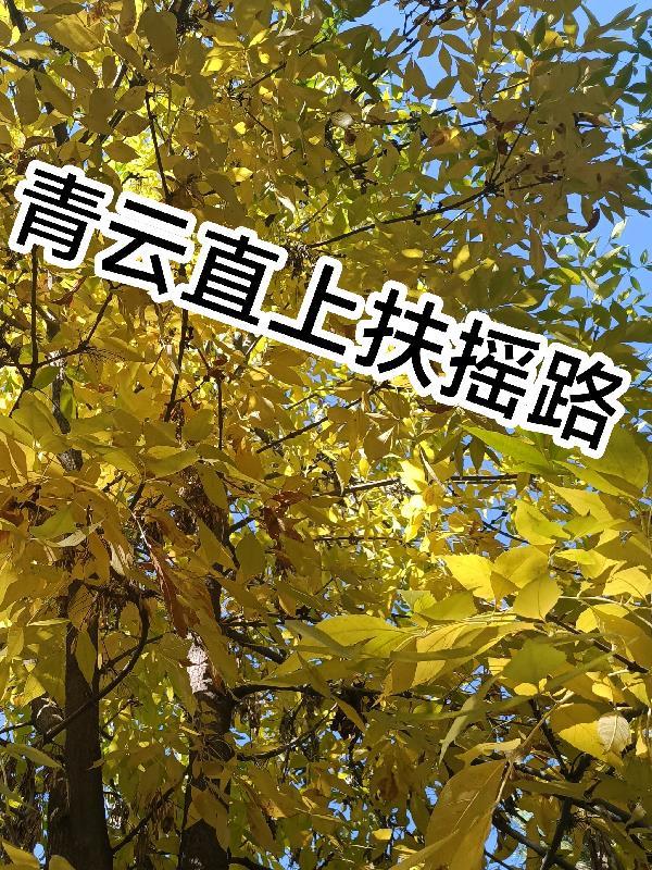 让你模拟，你靠分身创建救世组织