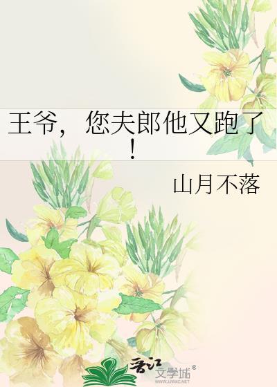 灿烂小妻子