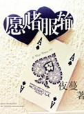 仙尊你道侣跑了