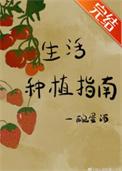 扶弟魔家的女婿